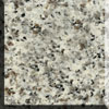 Bianco Sardo granite stone sample